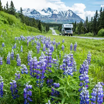 A pickup truck with a camper on top rolls down the Richardson Highway in the Delta Mountains of remote Alaska. RVers out camping in spring time., License Type: media, Download Time: 2025-12-03T20:07:02.000Z, User: mvm_lonelyplanet, Editorial: false, purchase_order: 56530 - Guidebooks, job: Alaska 15, client: Global Publishing-WIP, other: Virginia Moreno