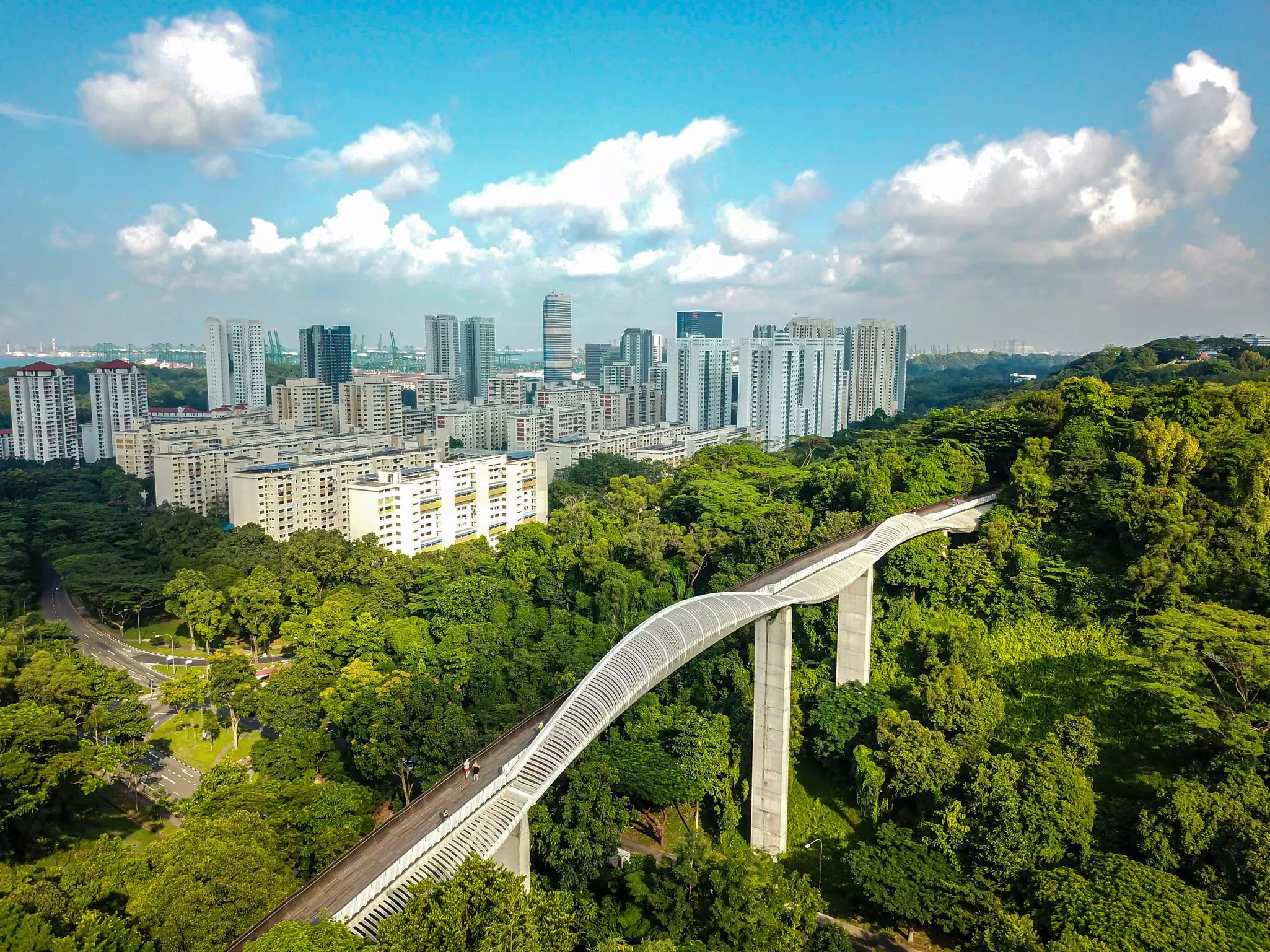 A bridge over green treetops; a city skyline is in the background.
