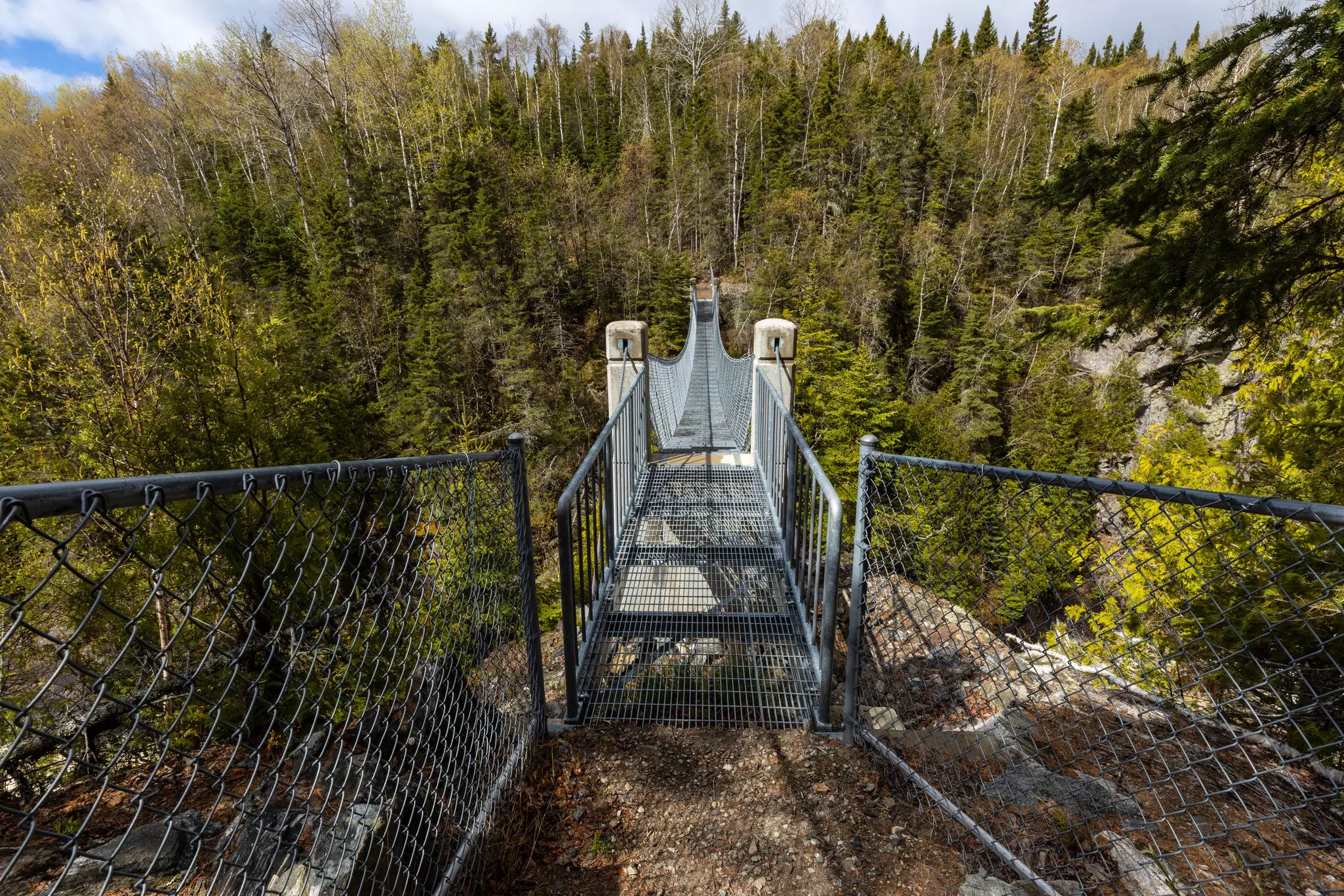A narrow pedestrian bridge in a forest in Ontario, Canada, connects to a trail on the other side.