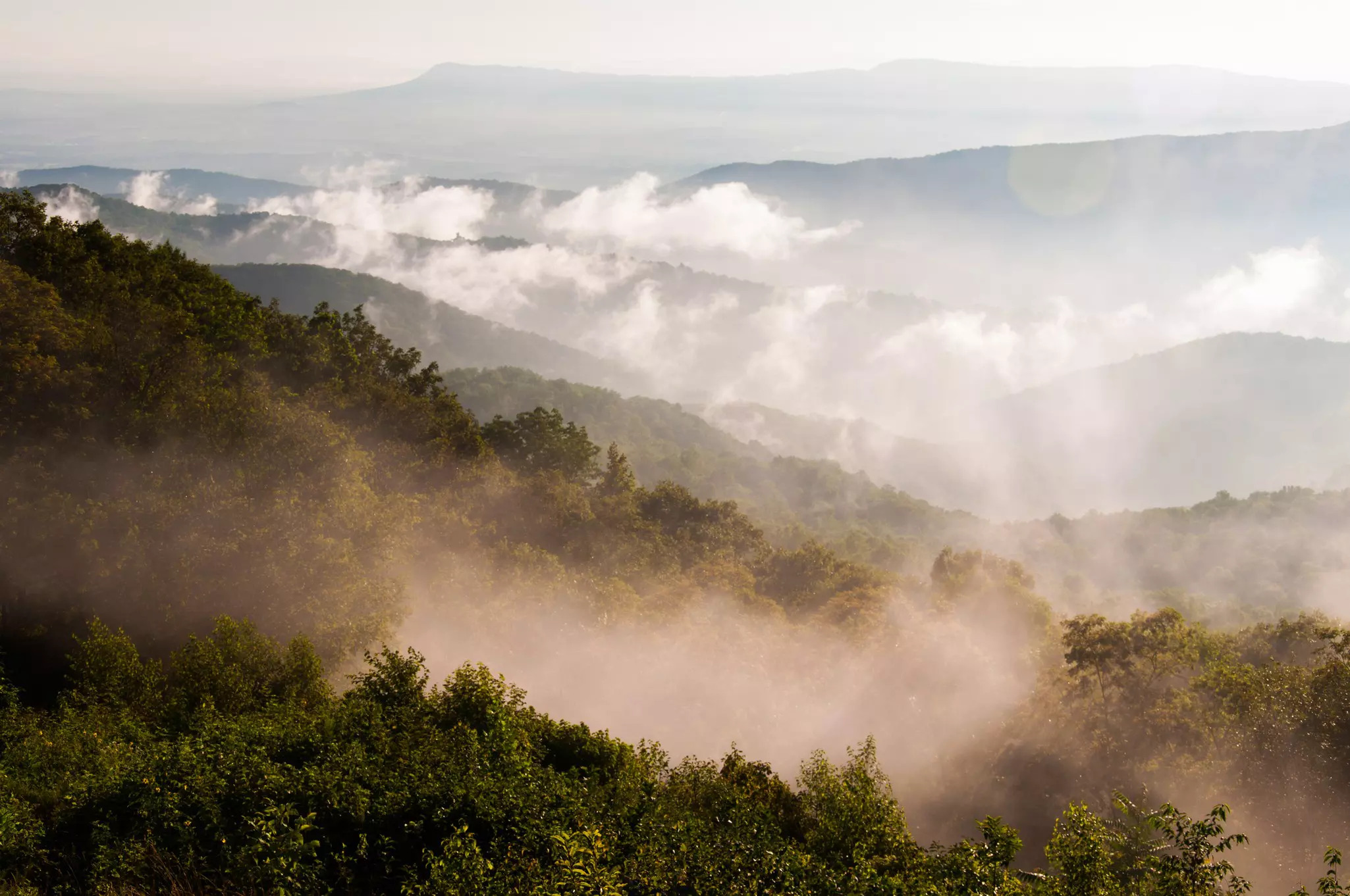 A misty skyline of rolling hills