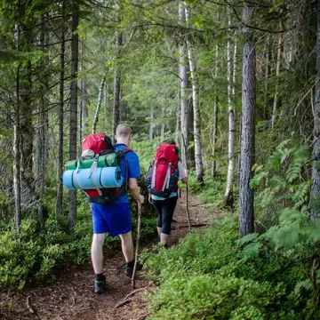 Two hikers walking on a narrow path in Nordmarka, using walking sticks