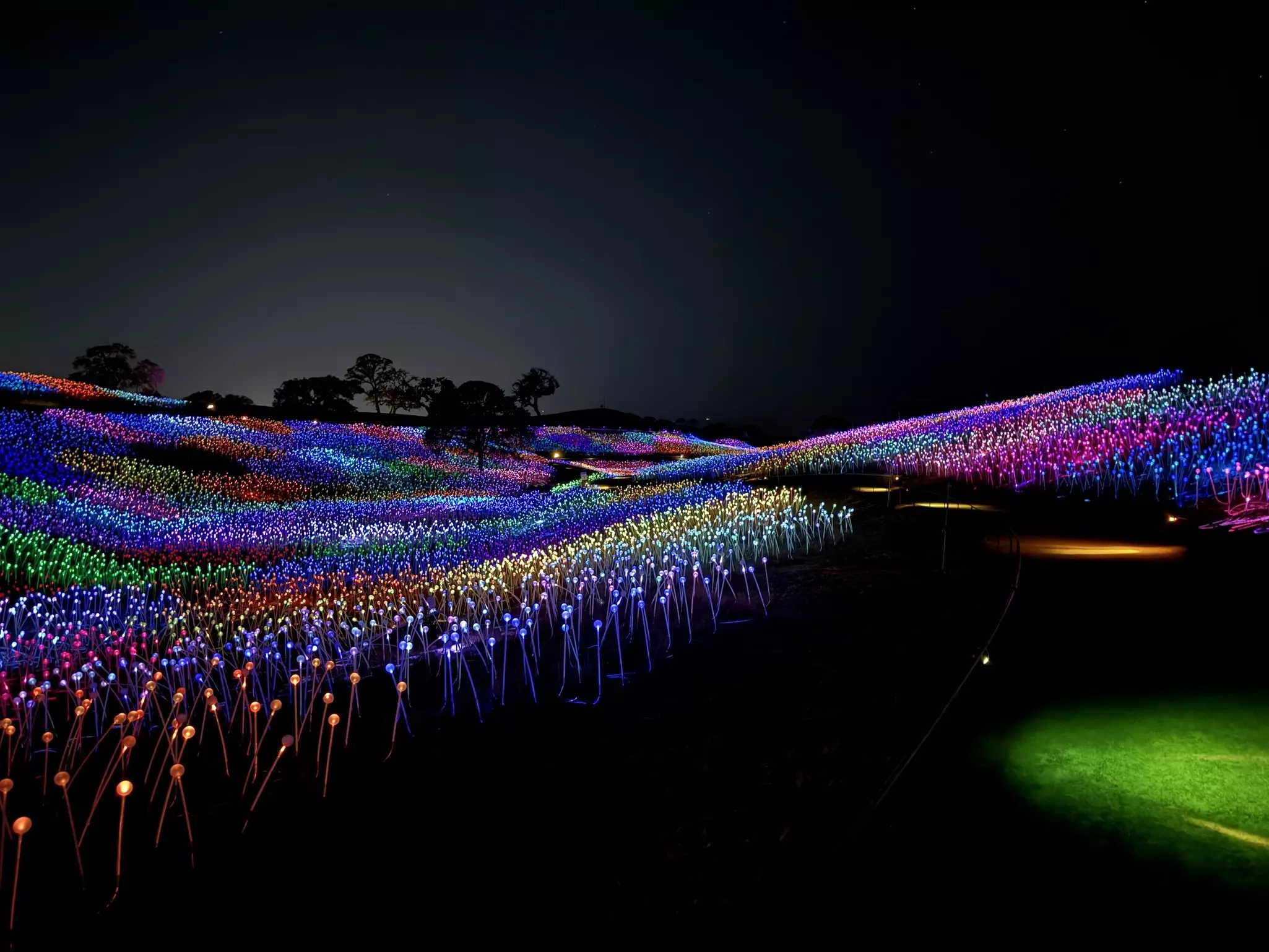 Sensorio involved more than 100,00 lights. Laura Motta for Lonely Planet