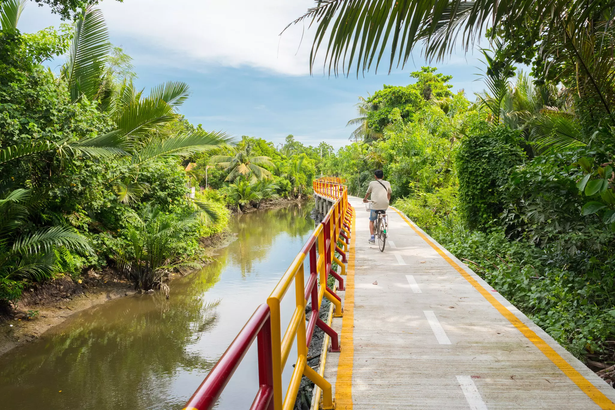 A cyclist rides on a raised path in Thailand over a murky body of water surrounded by lush tropical vegetation.