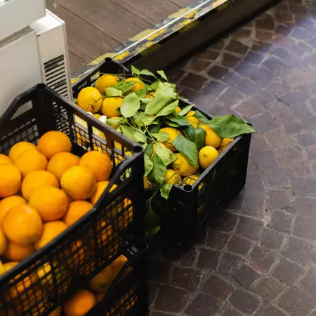 Crates of local lemons in Sorrento, Italy. July 2025.