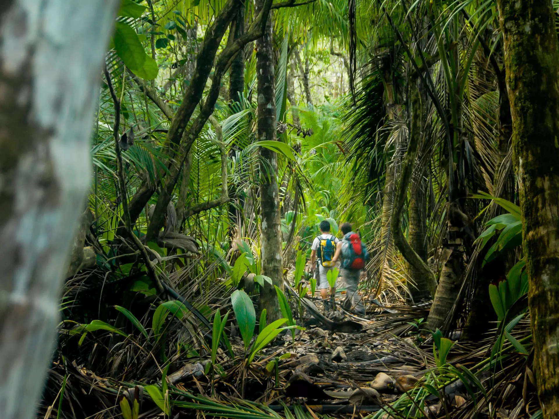 Wax up your boots for this guide to the best hikes to tackle in Central America. Louis-Michel Desert/Shutterstock