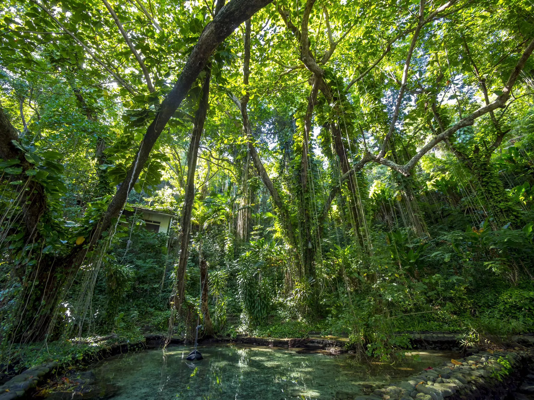 Jamaica, Port Antonio, blue lagoon