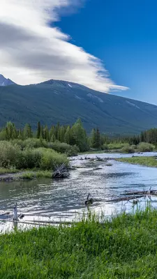 A clear stream has greenery on either side and mountains beyond the shore.