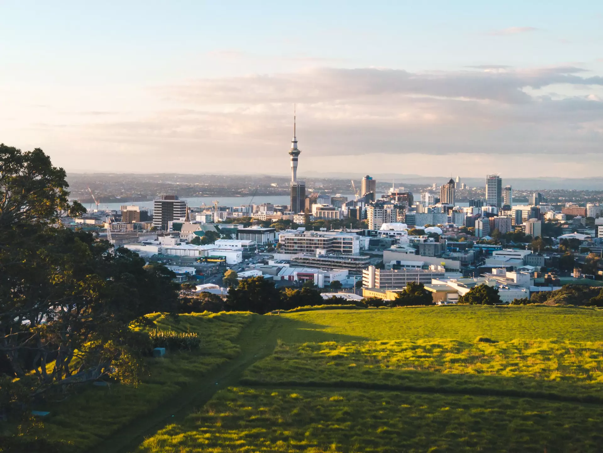 Auckland skyline, New Zealand. Emanuel Metzenthin/Shutterstock