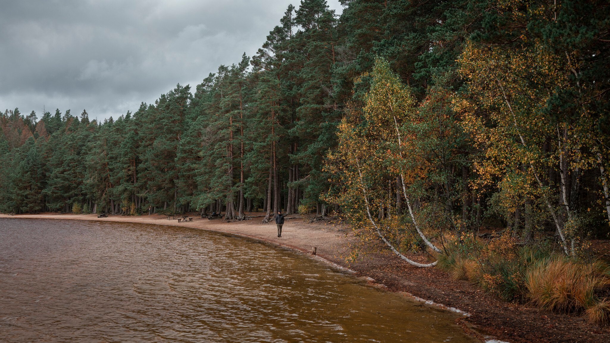 Male person walking along beach in the forest in Tiveden National Park in Sweden