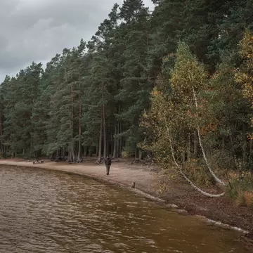 Male person walking along beach in the forest in Tiveden National Park in Sweden