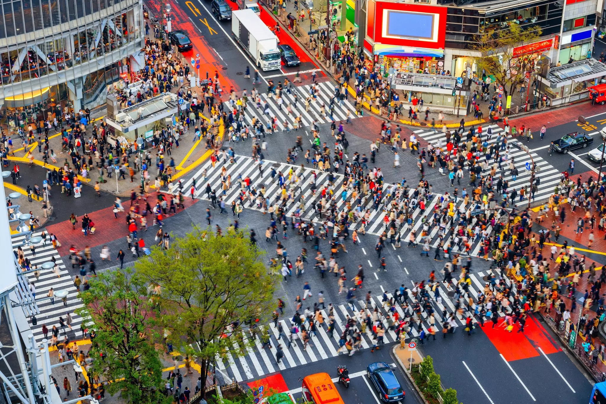 Crowds on the Shibuya Crossing in Tokyo in the afternoon.