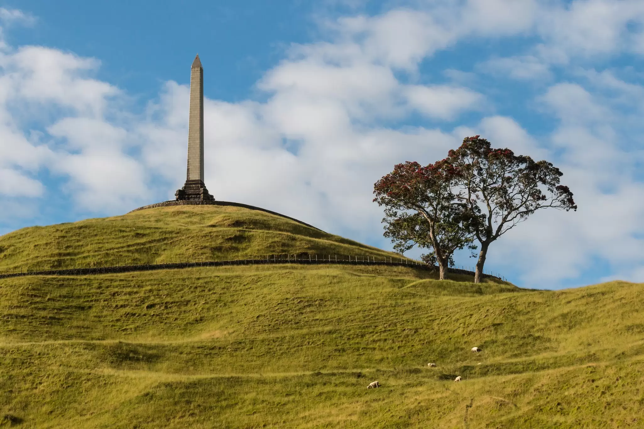 One Tree Hill monument stands tall in Auckland, New Zealand.