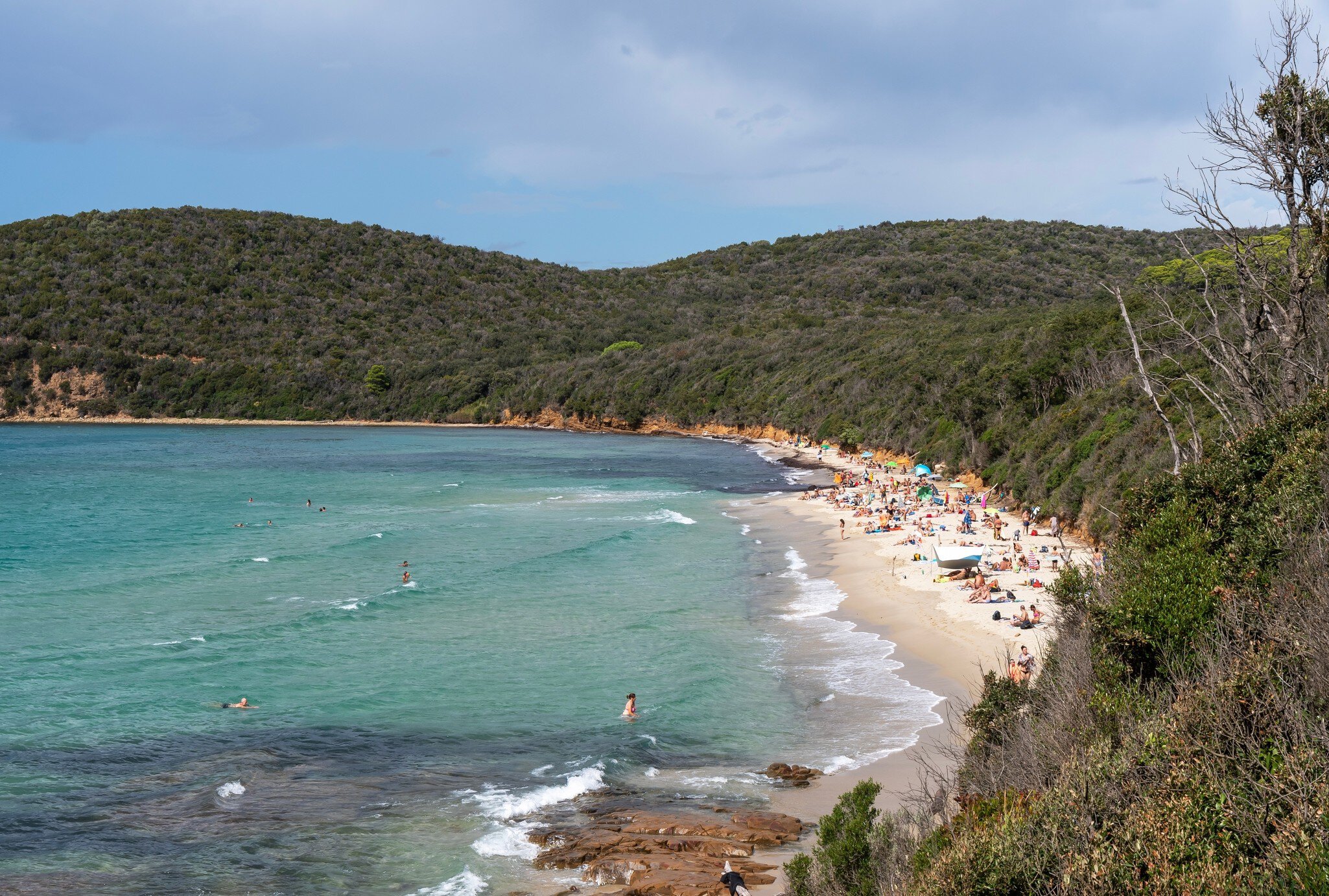 Beachgoers lounge on the sands of a cove backed by woodland.