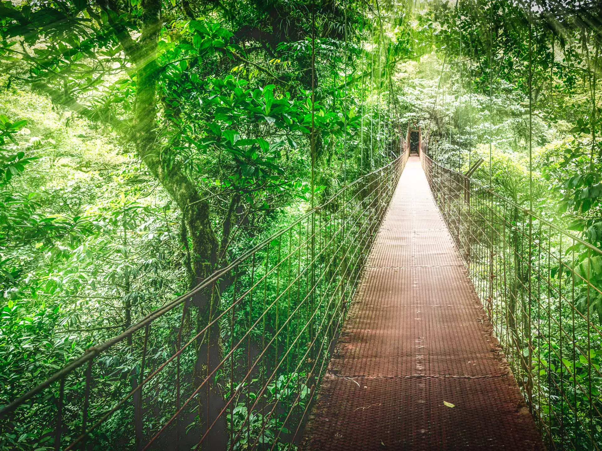 Explore Costa Rica on a road trip with these top scenic routes. Shutterstock