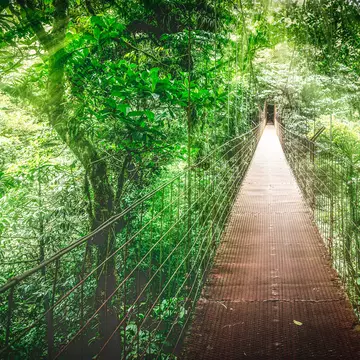 Explore Costa Rica on a road trip with these top scenic routes. Shutterstock