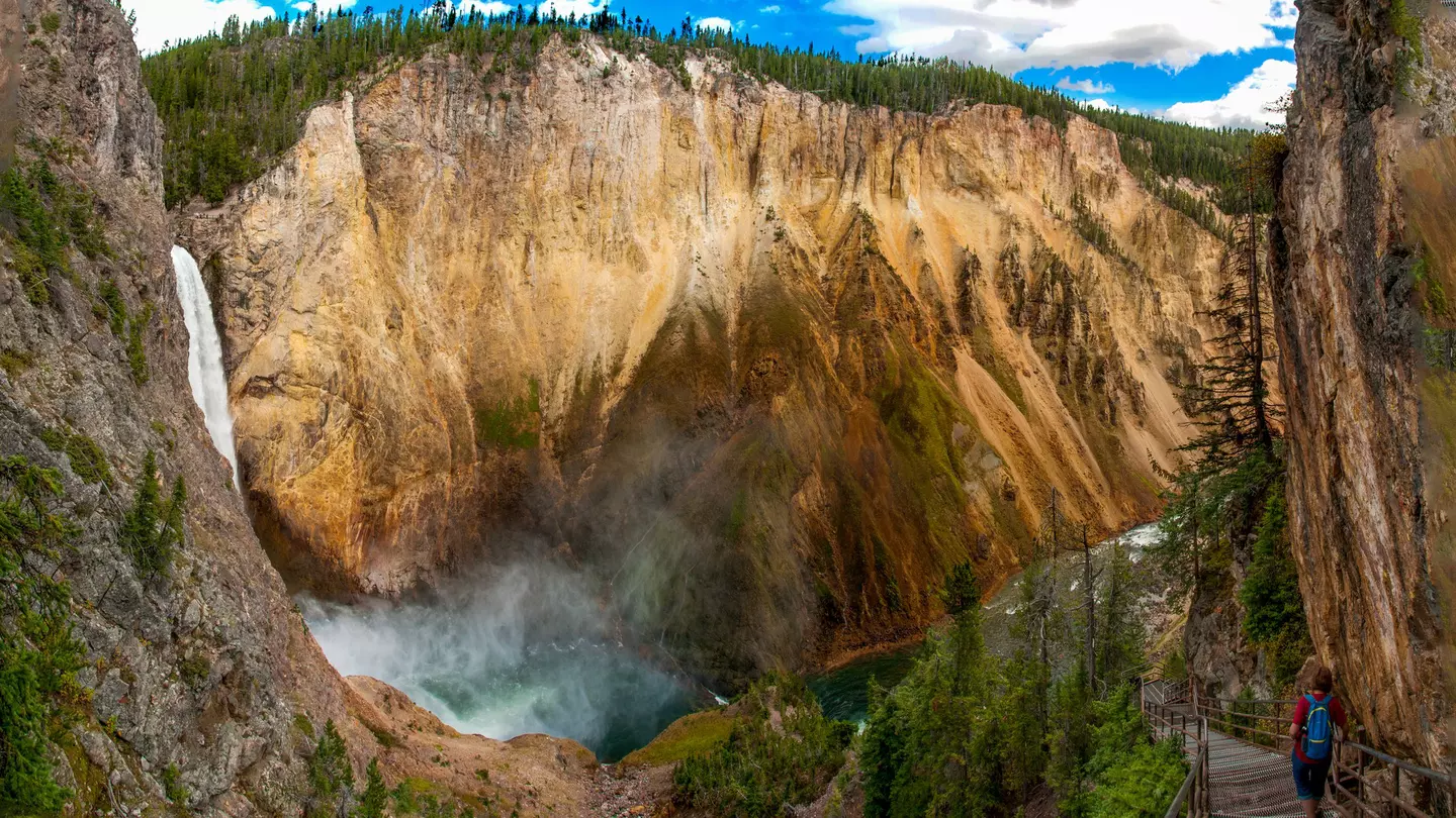 Panoramic view of the Lower Falls in Yellowstone National Park