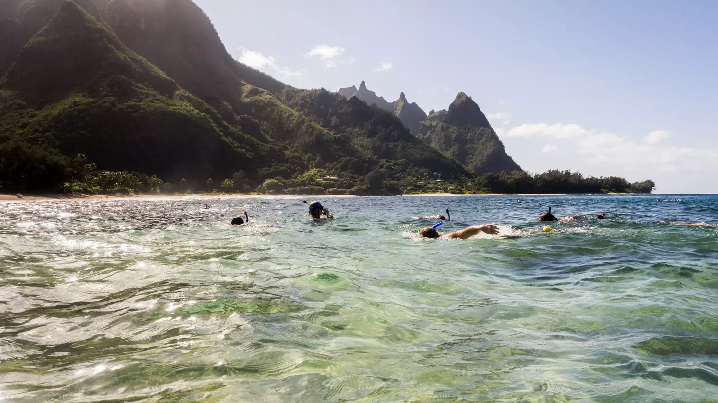 A group of people scuba diving and snorkeling off the coast of Kaua‘i on a sunny day with dramatic cliffs in the distance