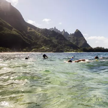 A group of people scuba diving and snorkeling off the coast of Kaua‘i on a sunny day with dramatic cliffs in the distance