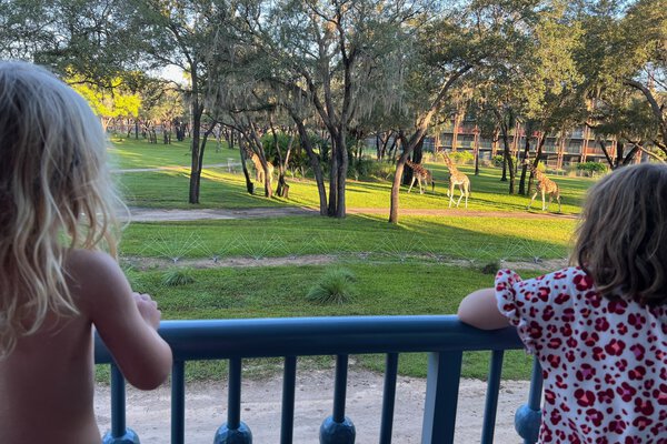 Watching giraffes on the balcony at Animal Kingdom Lodge