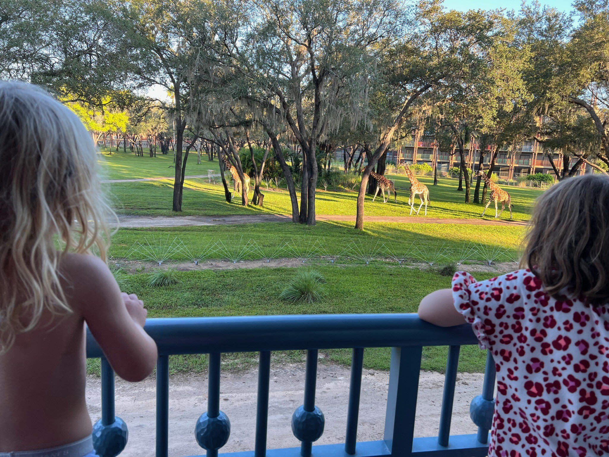 Children watch giraffes parade past from the balcony in a resort at Disney World, Florida, USA.