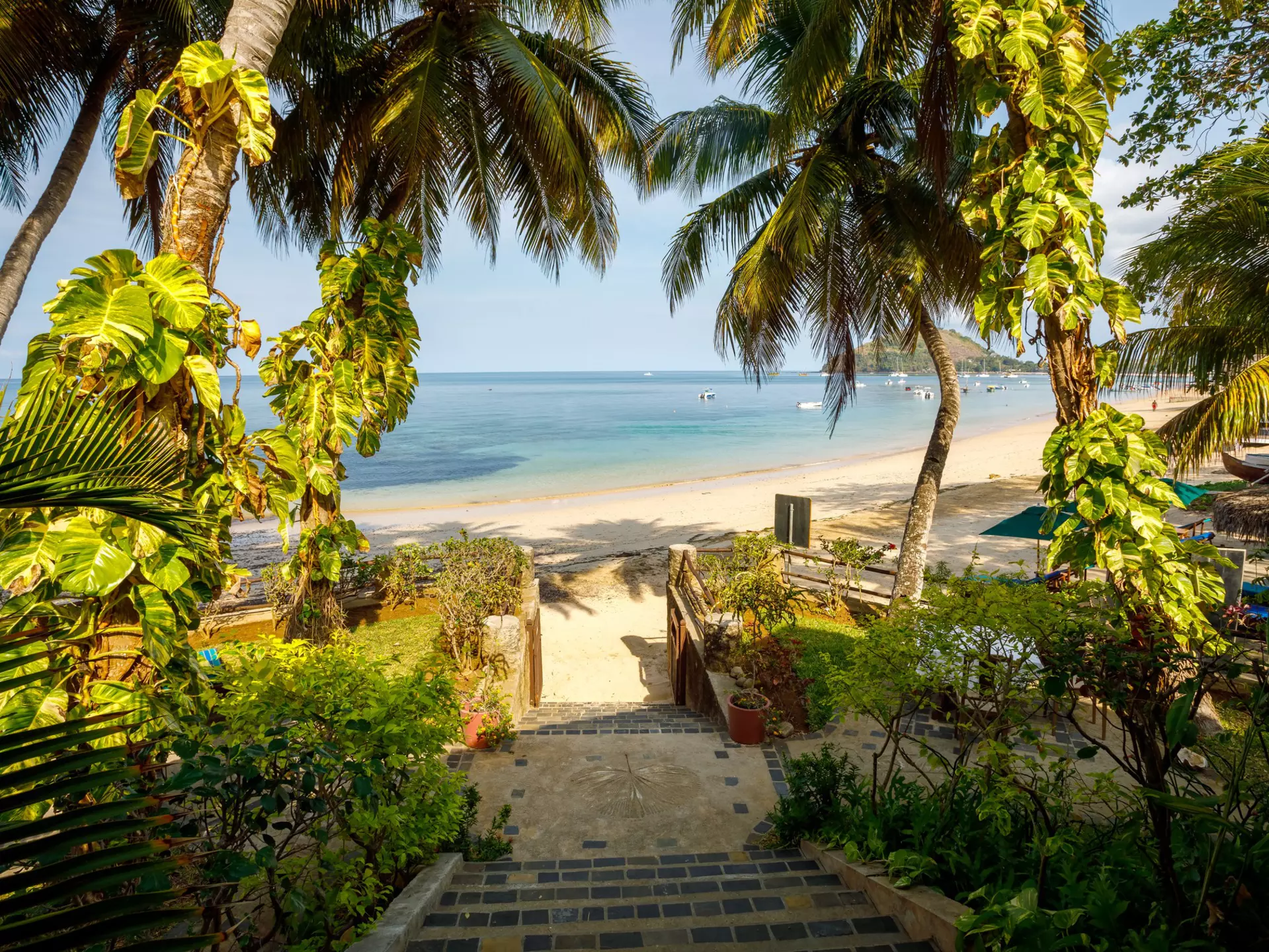 A pathway leads down towards a gorgeous sandy beach shaded by palm trees.