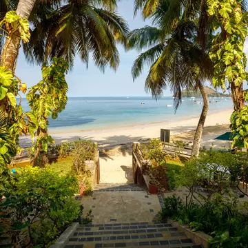 A pathway leads down towards a gorgeous sandy beach shaded by palm trees.