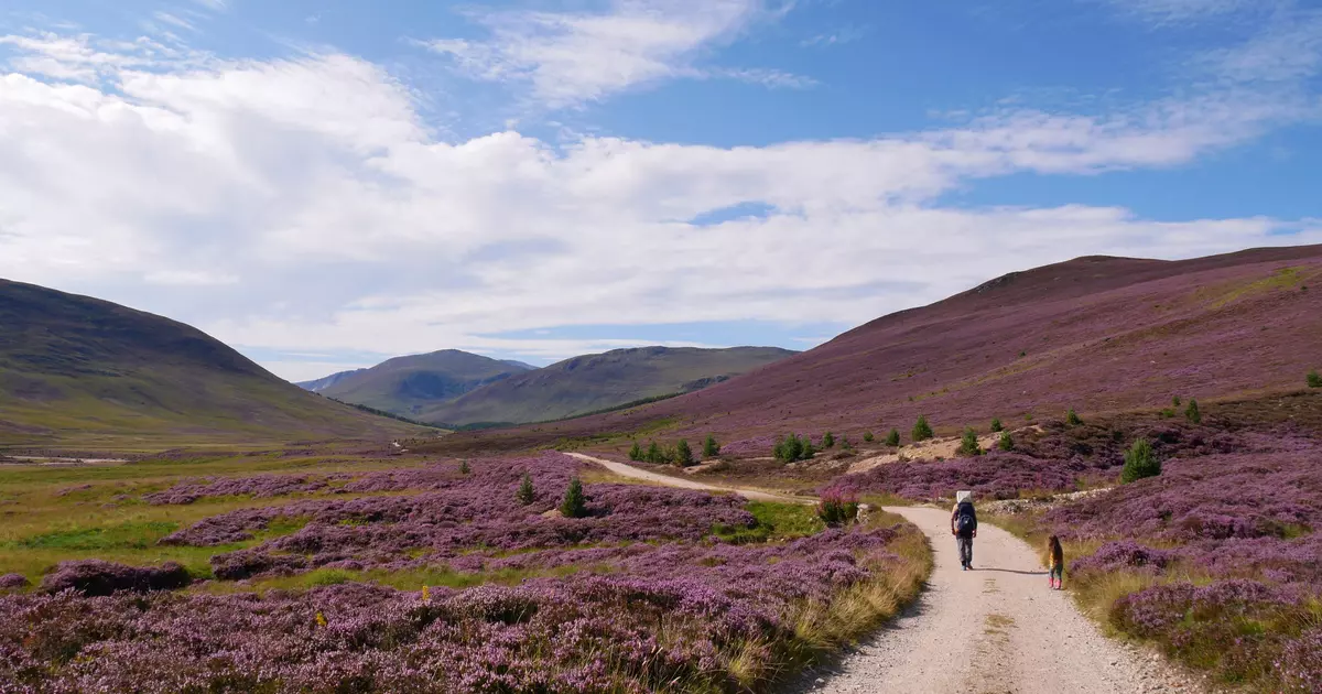 The best time to visit Scotland for festivals, stunning landscapes and ...
