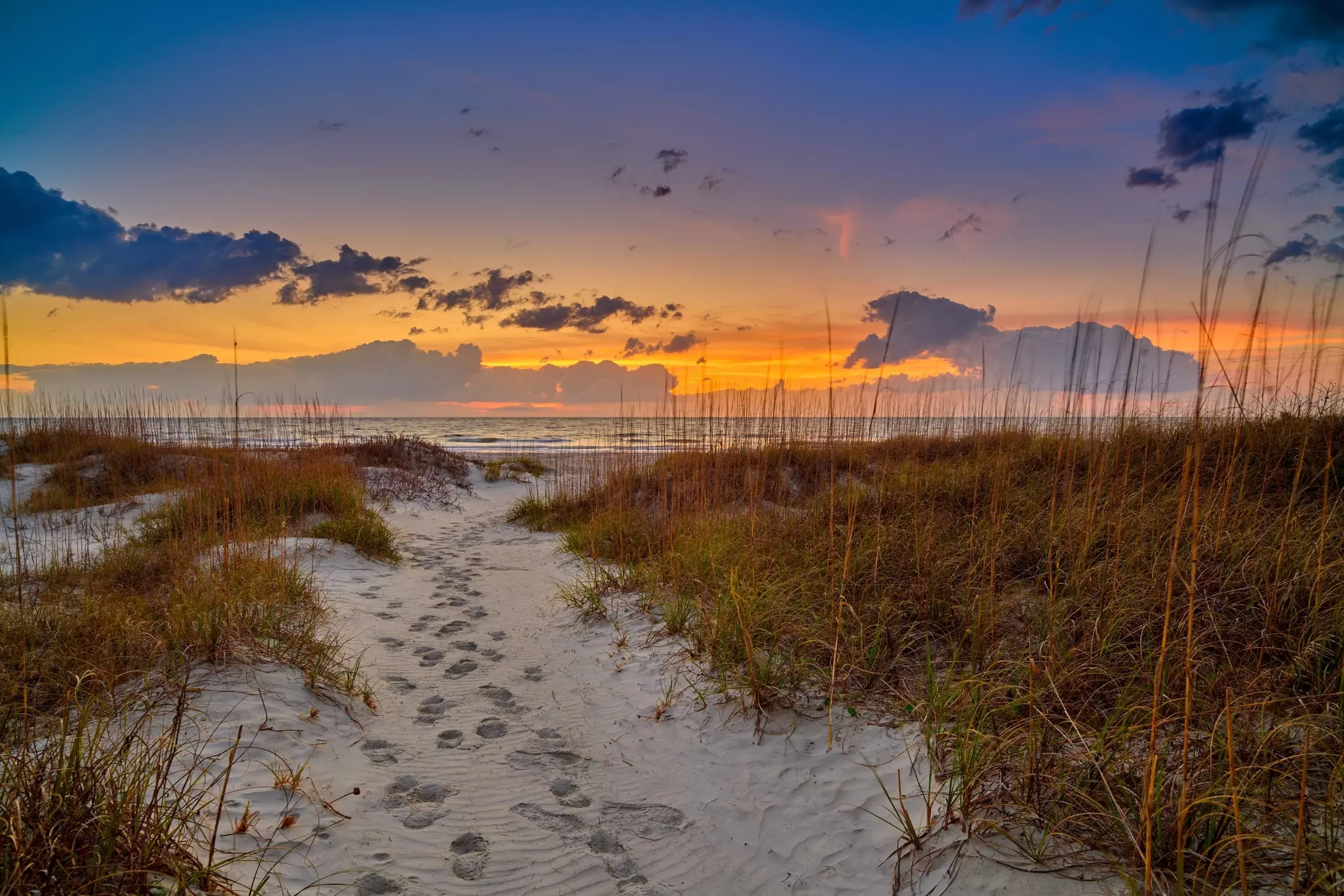 Hunting Island State Park. Patrick Jennings/Shutterstock
