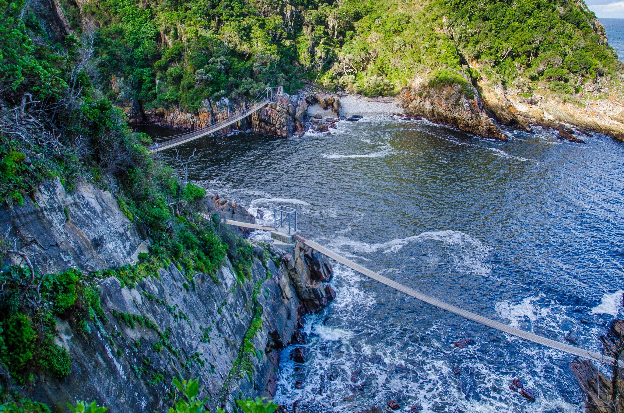 Hanging bridges above sea in The Tsitsikamma Section of the Garden Route National Park, South Africa.; Shutterstock ID 573537211;