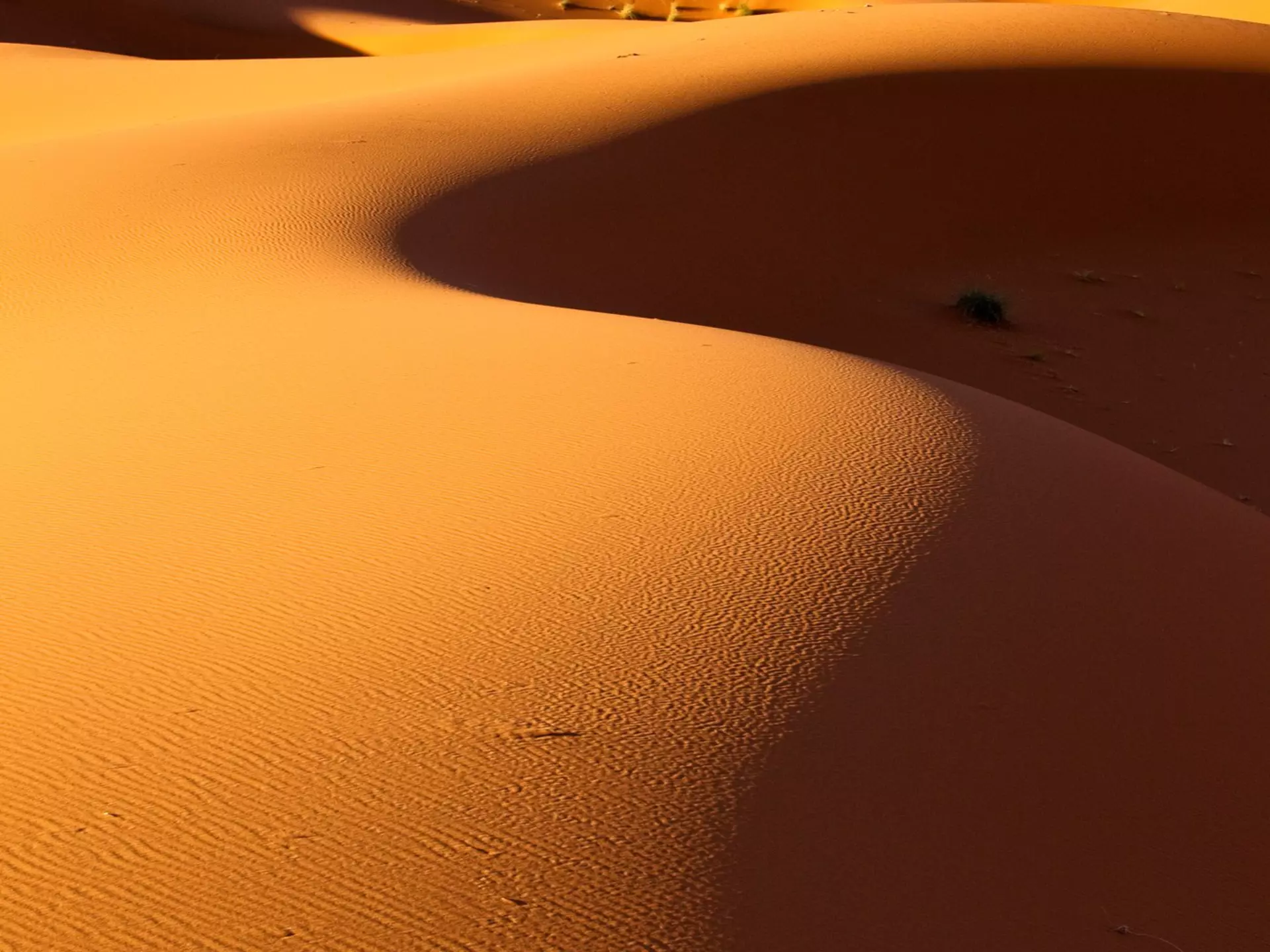 99641481
Backgrounds; Barren; Erg Chebbi Desert; Erg Chebbi Dunes; Outdoors; Shadow; Vertical; Day; Nature; No People; Sand; Travel Destinations; Flickr; Sunlight; Sunny; Clear Sky; Close-up; High Angle View; Merzouga; Morocco; Mountain Ridge; Photography; Tranquil Scene;
On the top of the flattest area you could imagine, suddenly a long mountain of sand rises. The Erg Chebbi dunes of wind-blown sand near the little town of Merzouga are renowned for their great height and size.