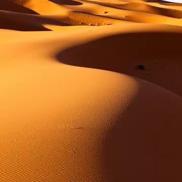 99641481
Backgrounds; Barren; Erg Chebbi Desert; Erg Chebbi Dunes; Outdoors; Shadow; Vertical; Day; Nature; No People; Sand; Travel Destinations; Flickr; Sunlight; Sunny; Clear Sky; Close-up; High Angle View; Merzouga; Morocco; Mountain Ridge; Photography; Tranquil Scene;
On the top of the flattest area you could imagine, suddenly a long mountain of sand rises. The Erg Chebbi dunes of wind-blown sand near the little town of Merzouga are renowned for their great height and size.