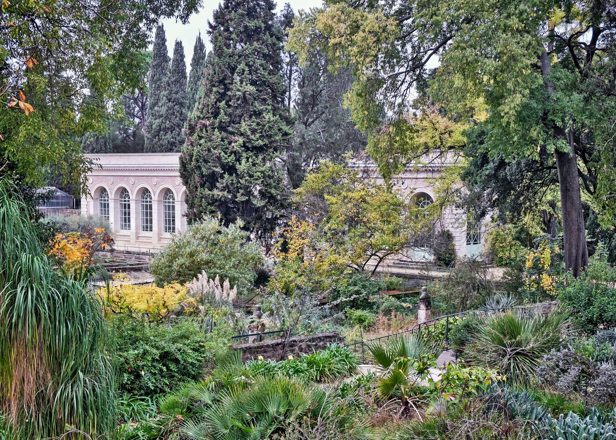 A botanical garden packed with green foliage.