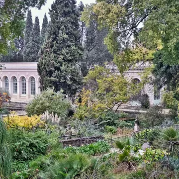 A botanical garden packed with green foliage.