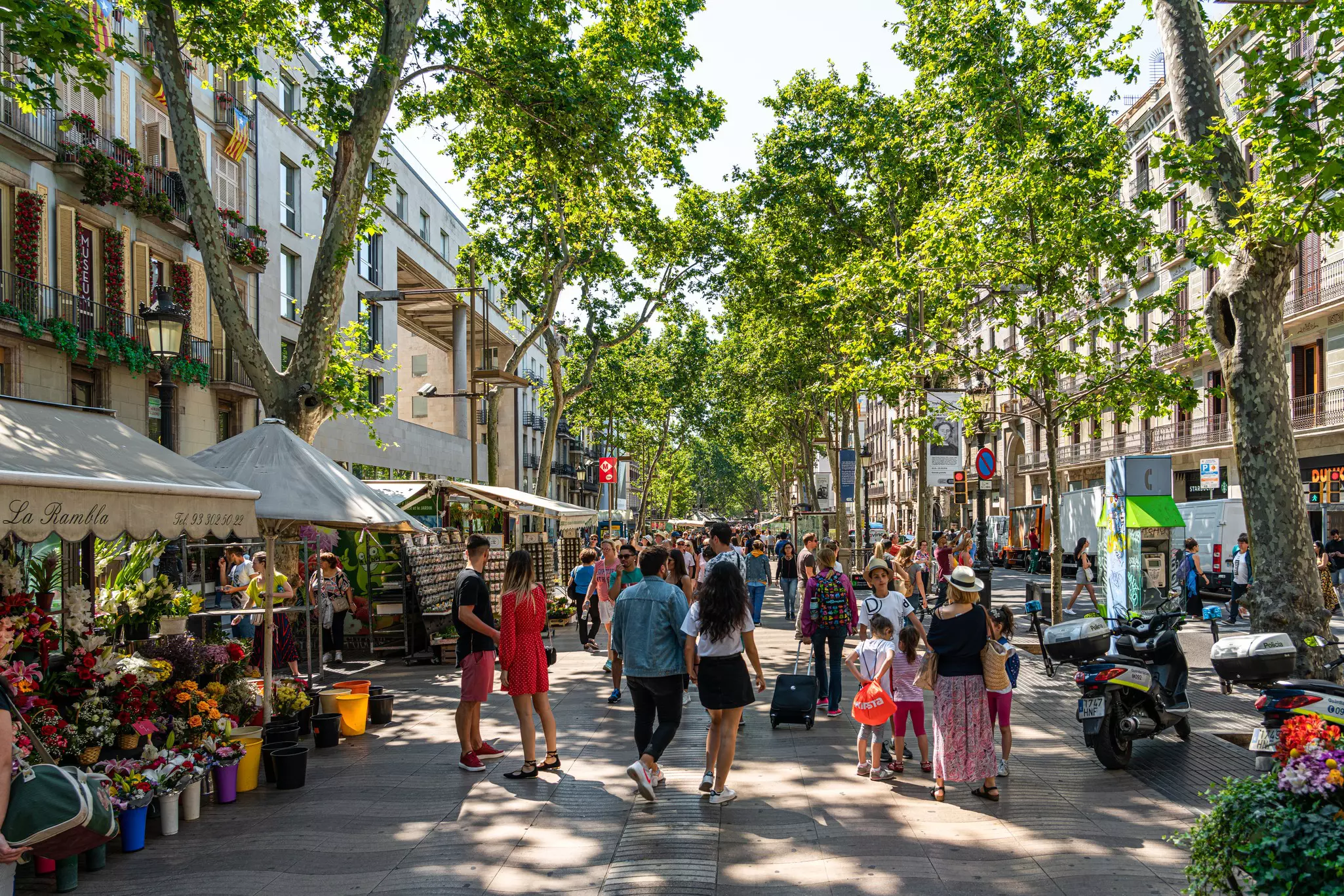 People walking along a pedestrian boulevard lined with trees and vendors