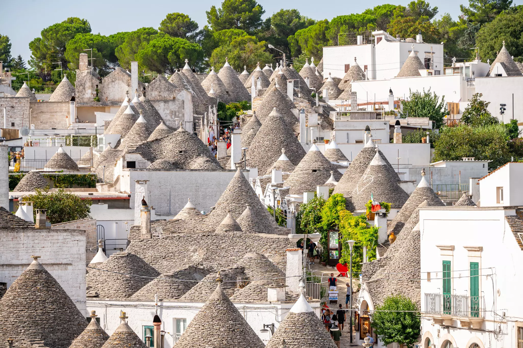 The rooftops of conical trulli houses in a tightly packed town.