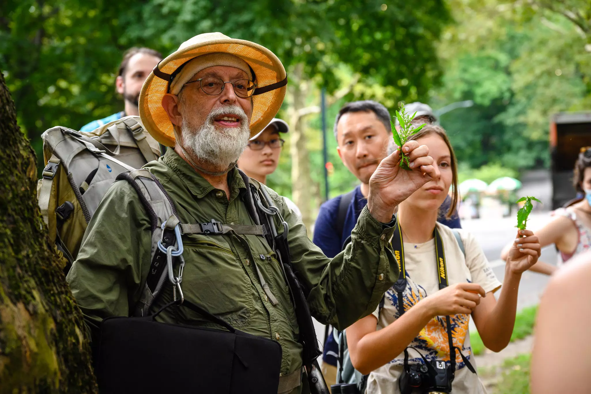 Steve "Wildman" Brill foraging tour in Central Park, co-lead with his daughter, Violet Brill.