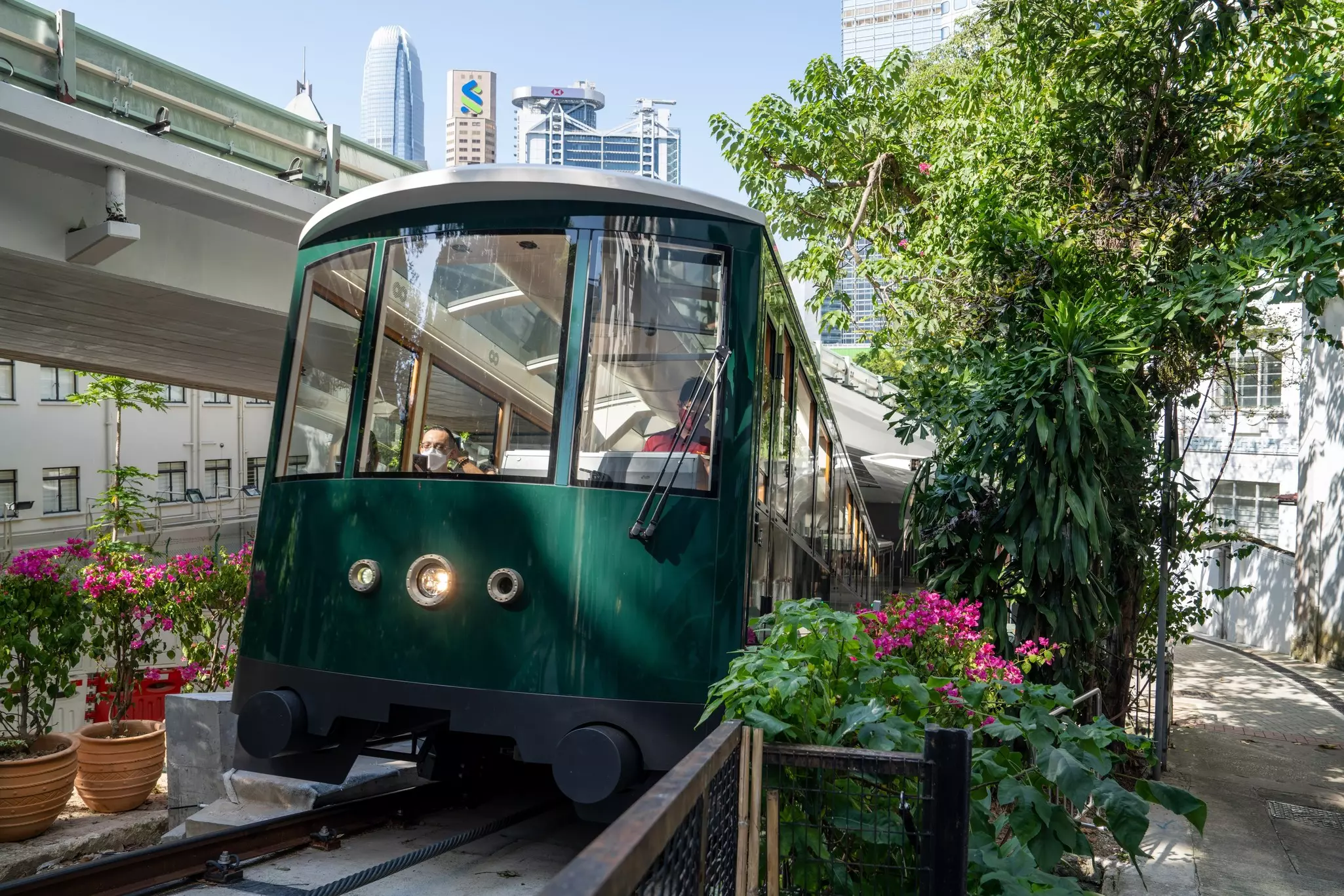 A green funicular railway traveling on a track through foliage in Hong Kong