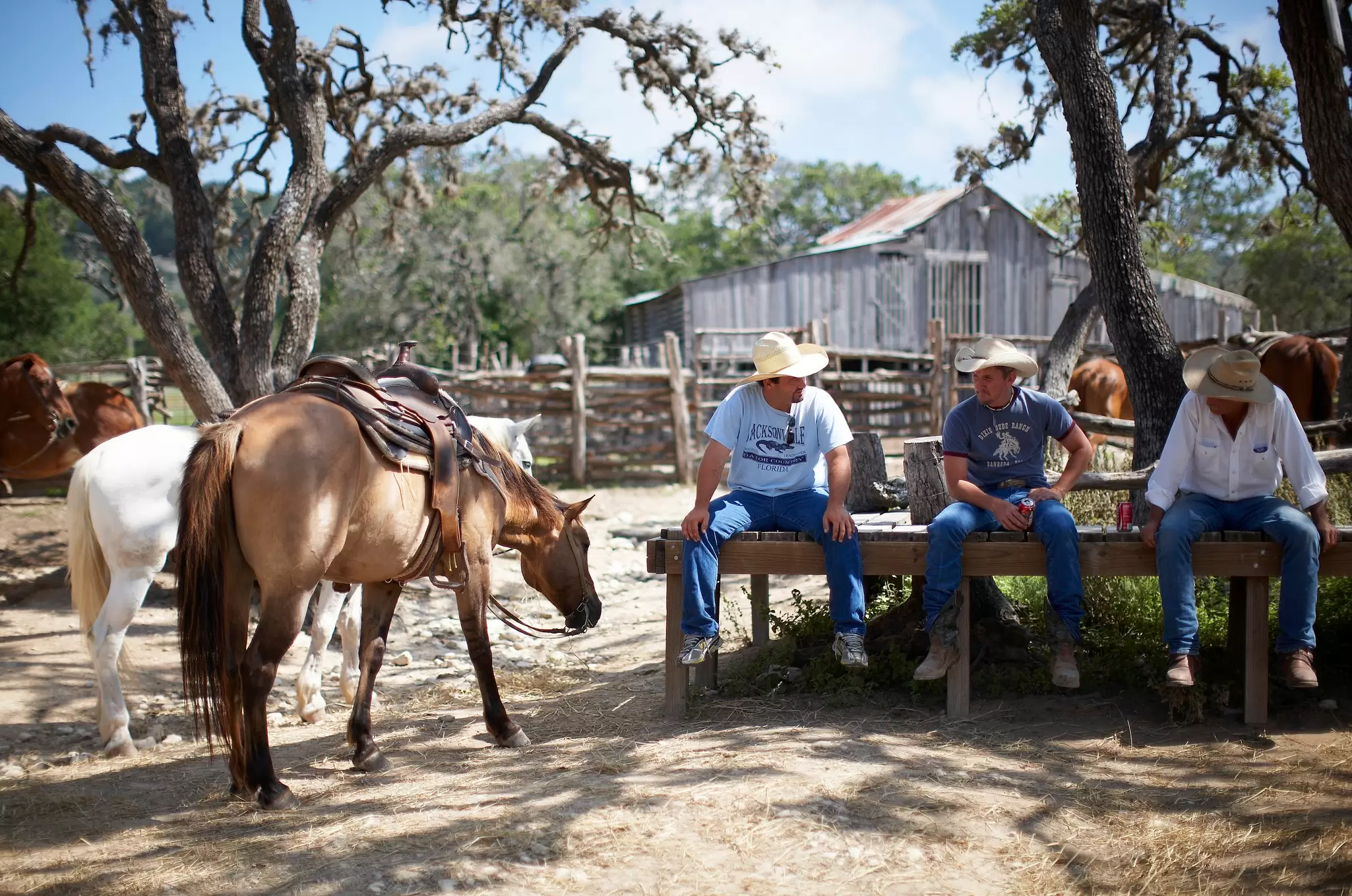 If you want to enjoy the wonders of the American West, book a trip to a dude ranch. Myles New/Lonely Planet