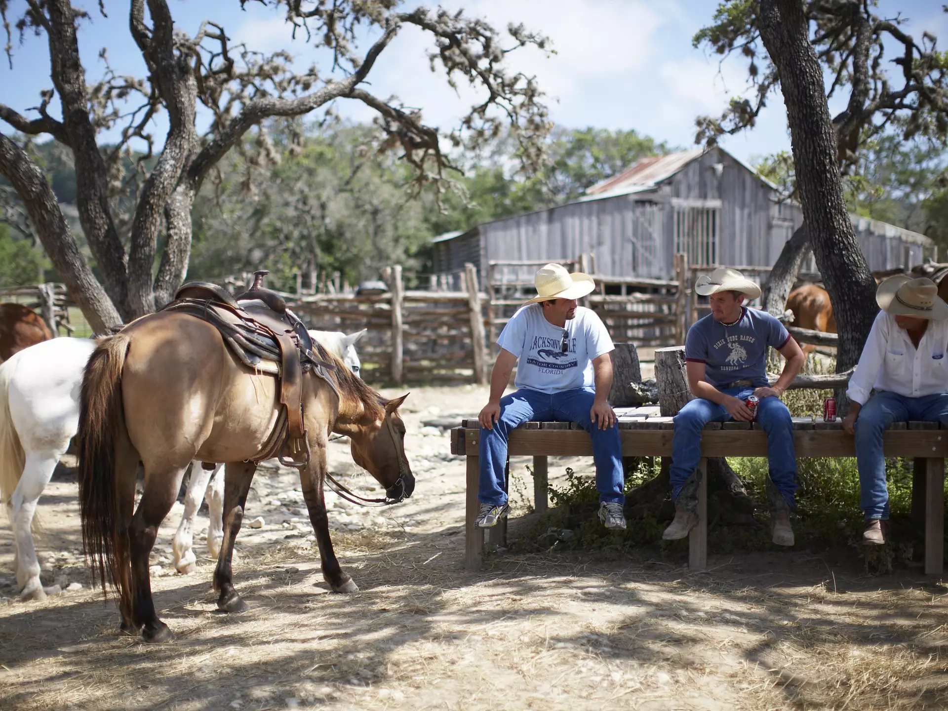 If you want to enjoy the wonders of the American West, book a trip to a dude ranch. Myles New/Lonely Planet