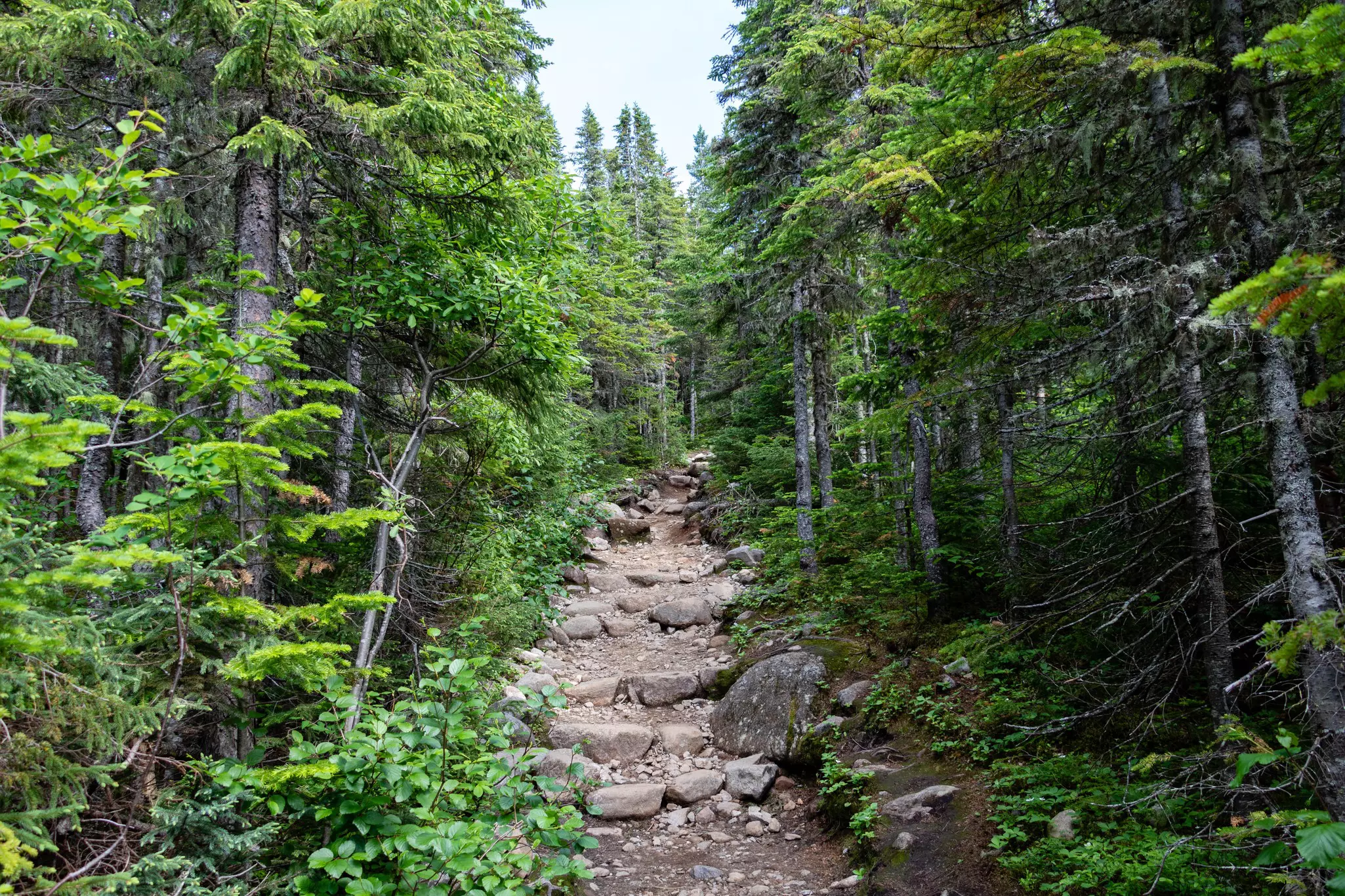 Parc National du Grands-Jardins near Baie-Sainte-Paul is a peaceful playground for hikers © Natalia Natapova / Shutterstock