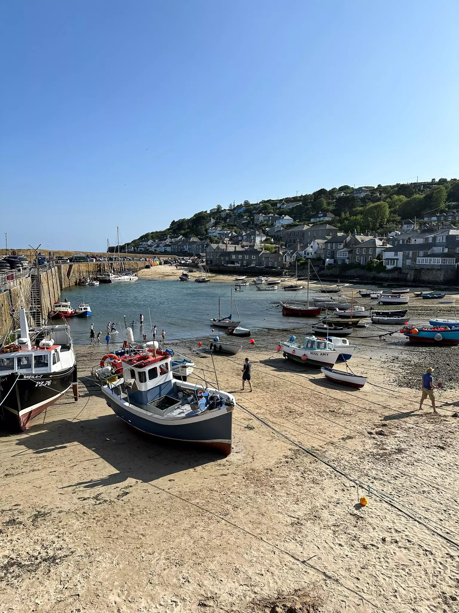 A diagram showing PlanBay's seat separator's features