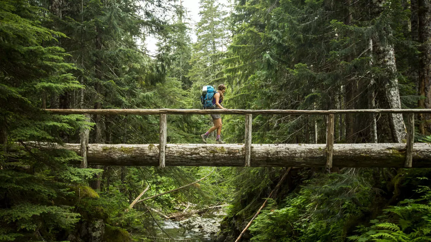 A female hiker walking across a log bridge in the forest