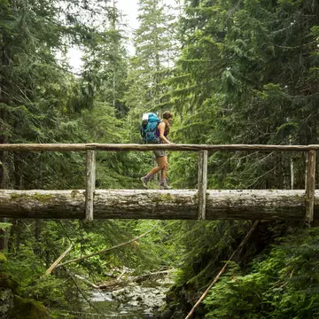 A female hiker walking across a log bridge in the forest