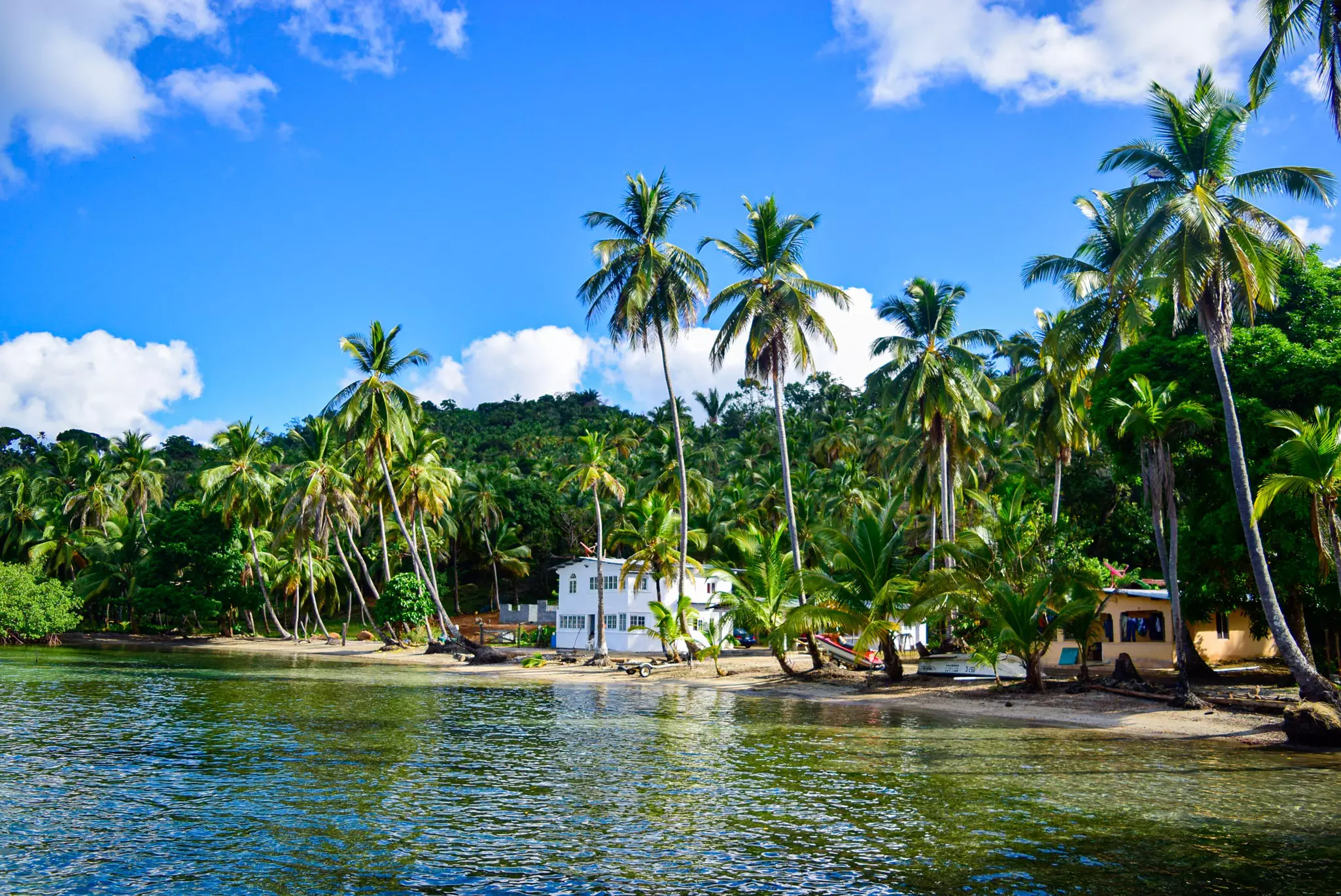 A palm tree-lined beach with a couple of houses in Parque Nacional Portobelo, Panama.
