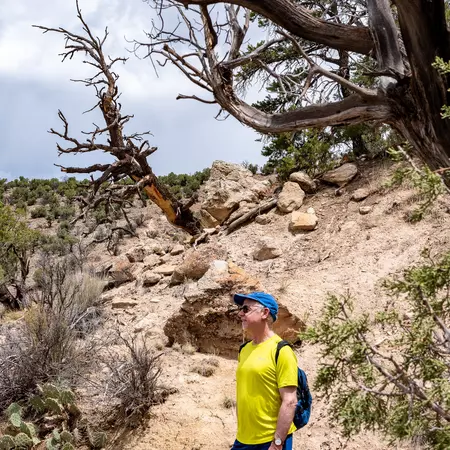 Stuart in Petrified Forest