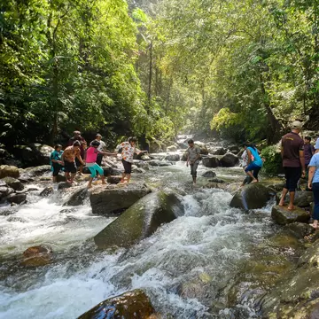 Tourists cross the river in the Sinharaja Forest Reserve, a national park in Sri Lanka. 