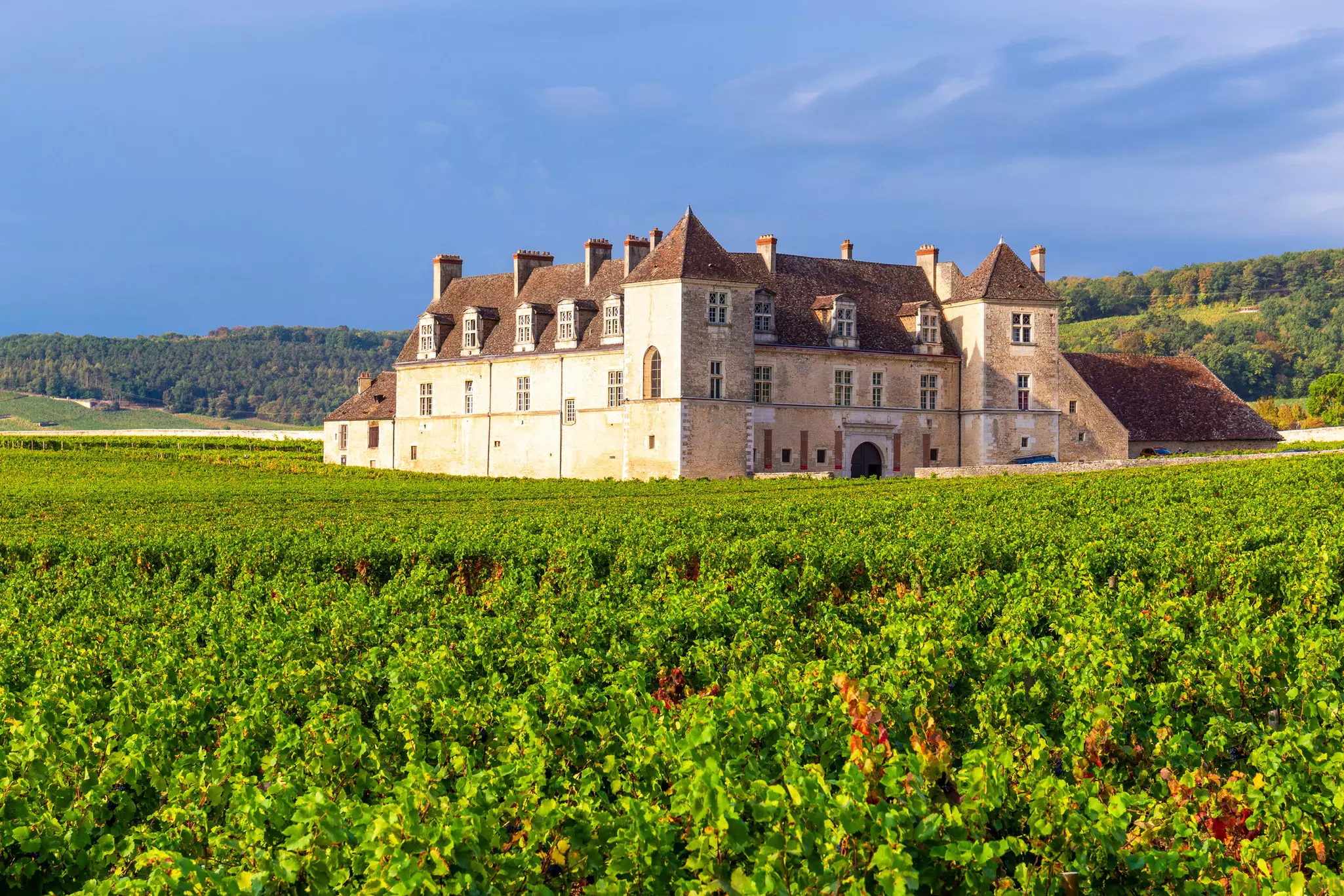 An abbey turned chateau surrounded by vineyards on a sunny day