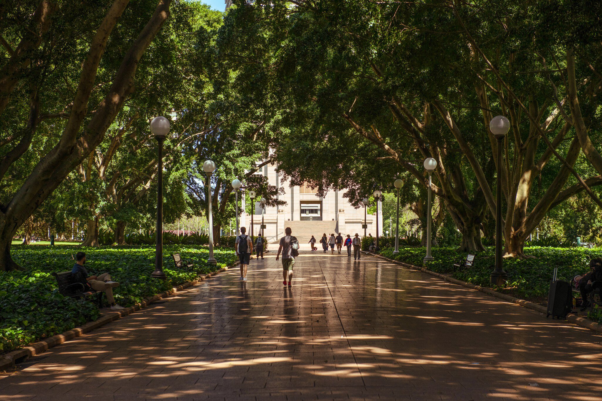 People walking through speckled light in Hyde Park, Sydney, Australia.