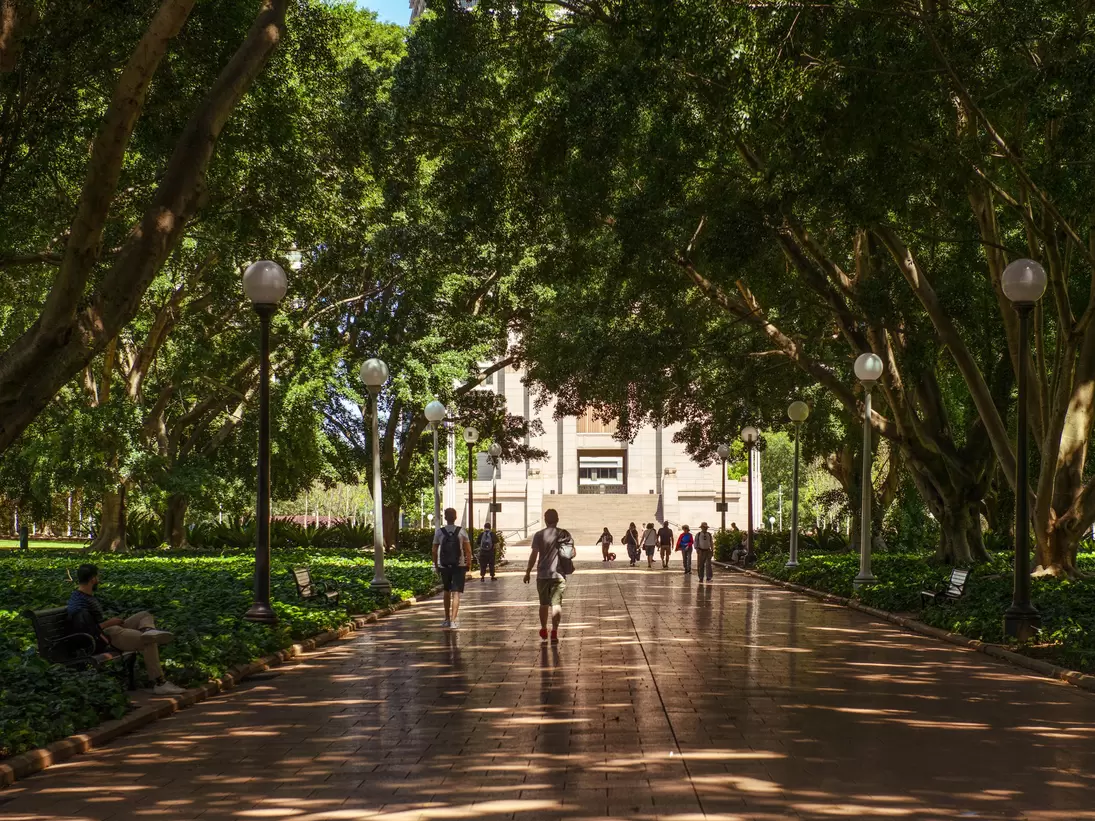 People walking through speckled light in Hyde Park, Sydney, Australia.