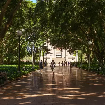 People walking through speckled light in Hyde Park, Sydney, Australia.